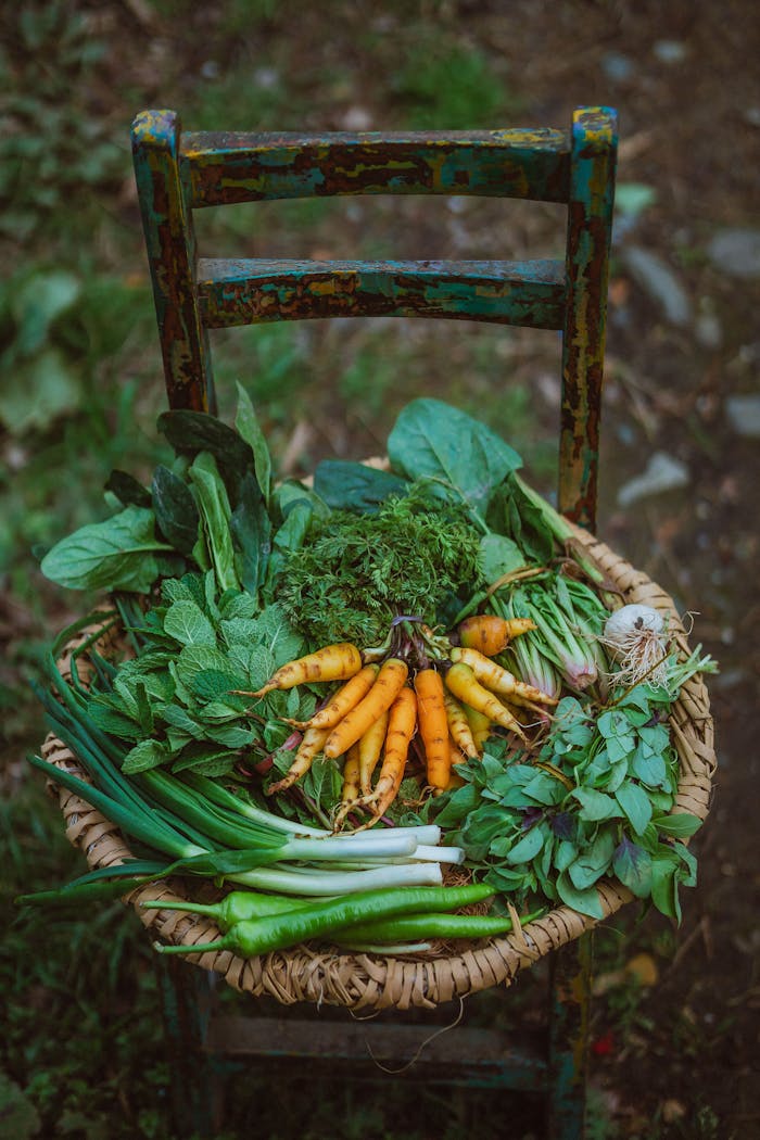 services-02 A vibrant assortment of fresh vegetables in a basket on a rustic wooden chair outdoors.