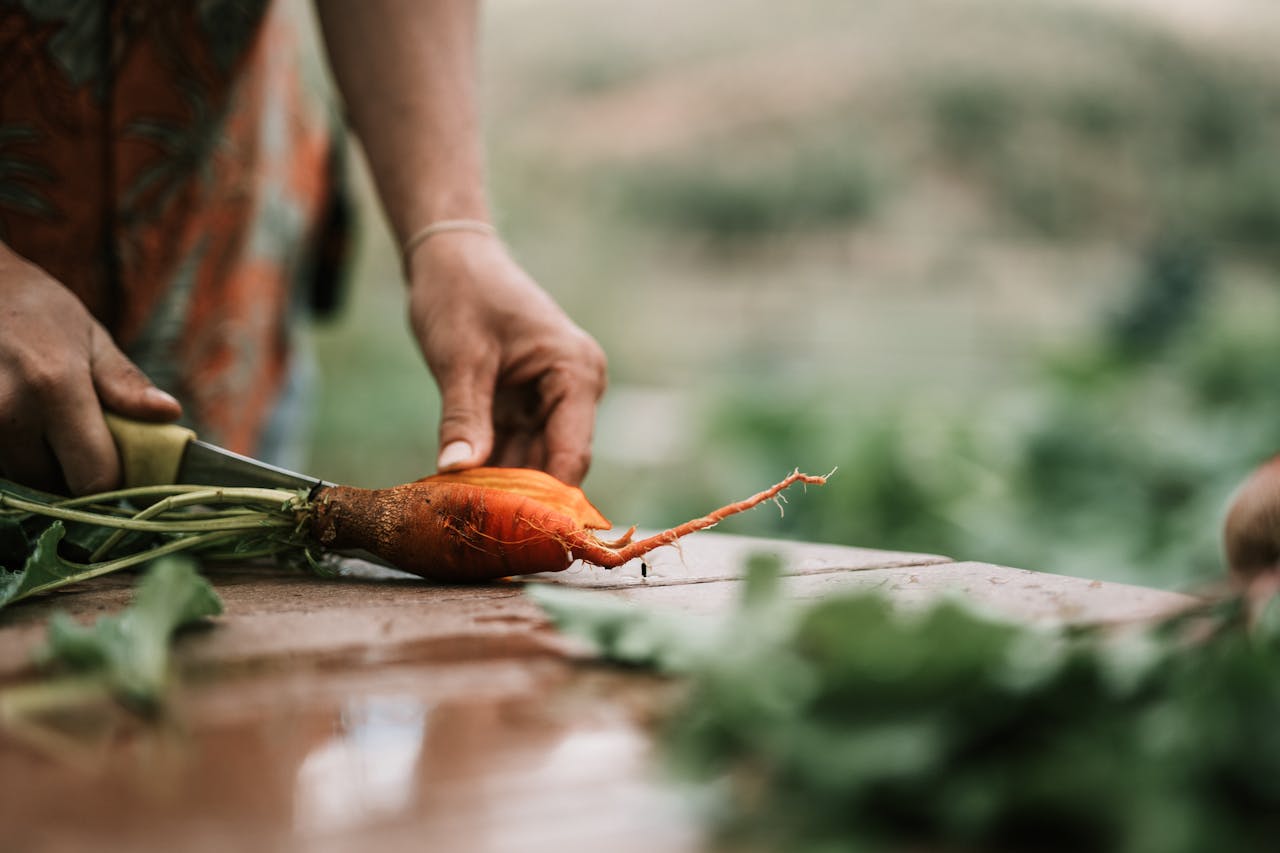services-01 Close-up of hands slicing a fresh carrot on a wooden table outdoors in a garden setting.